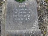 image of grave number 296221